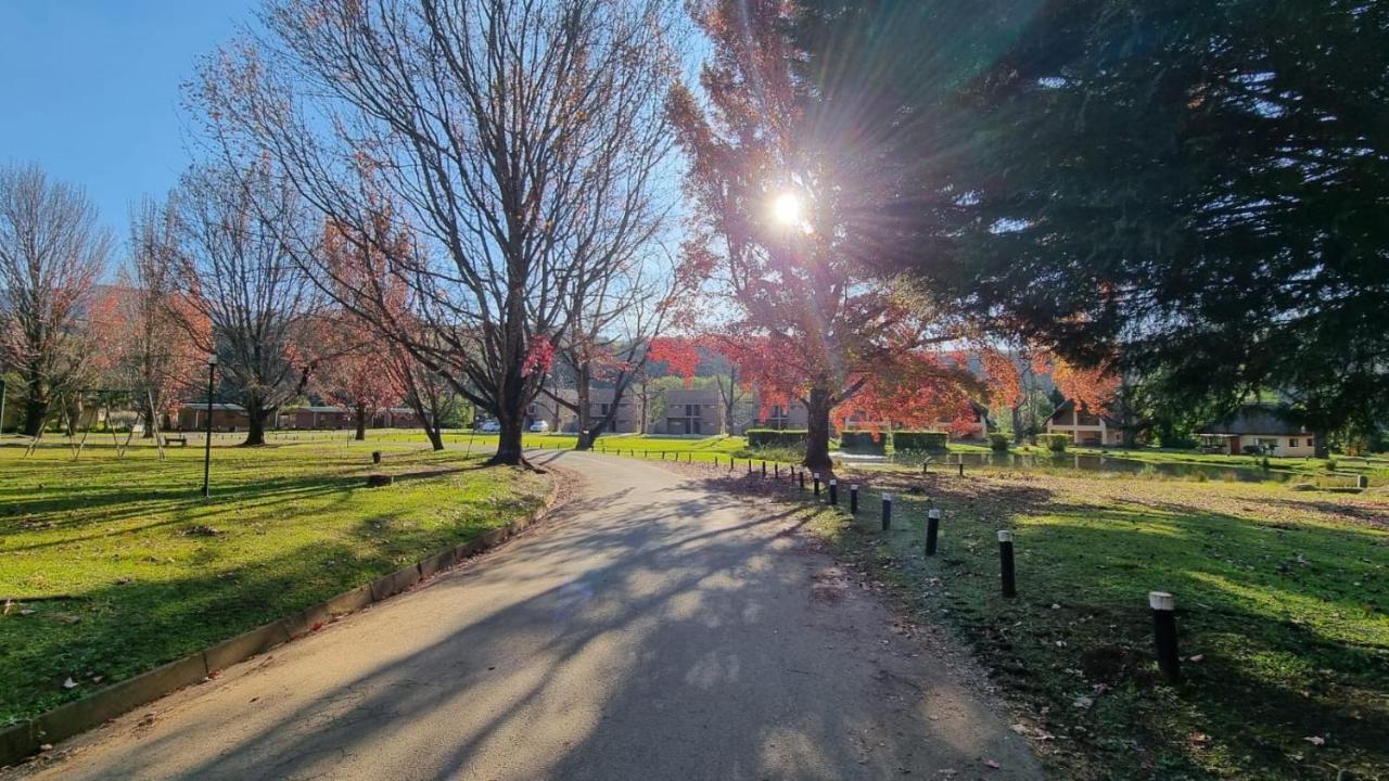 Dragon Peaks Mountain Resort Champagne Valley エクステリア 写真